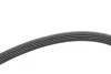 Ремень генератора VW Passat B5/Audi A4/A6 1.9TDI 98- (5PK1435) FEBI BILSTEIN 28879 (фото 3)
