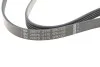 Ремень генератора VW Passat B5/Audi A4/A6 1.9TDI 98- (5PK1435) FEBI BILSTEIN 28879 (фото 4)