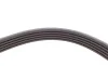 Ремень генератора Audi A4/ A6/ VW Passat 1.9 TDI 95-01 (5PK1590) FEBI BILSTEIN 28882 (фото 3)