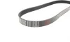 Ремень генератора Citroen Jumper/Peugeot Boxer 2.5D/TDI 94-02 AC /2.5D -95 (6PK913) FEBI BILSTEIN 28904 (фото 2)