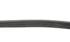 Ремень генератора Audi A3 1.6/2.0FSI 03-13/Citroen Berlingo 1.9D 96-11/Caddy 1.6-2.0 95-15 (6PK1045) FEBI BILSTEIN 28915 (фото 2)