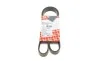 Ремень генератора VW T6 2.0 TSI 15- (6PK1113) FEBI BILSTEIN 28924 (фото 1)