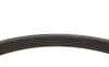 Ремень генератора VW T6 2.0 TSI 15- (6PK1113) FEBI BILSTEIN 28924 (фото 2)