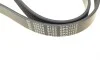 Ремень генератора VW T6 2.0 TSI 15- (6PK1113) FEBI BILSTEIN 28924 (фото 4)