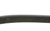Ремень генератора Renault Kangoo 1.5 dCi (6PK1200) FEBI BILSTEIN 28933 (фото 2)