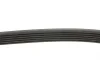 Ремень генератора Citroen Berlingo/Fiat Scudo 1.9D 98-06 (6PK1437) FEBI BILSTEIN 28944 (фото 2)