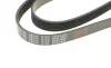 Ремень генератора Citroen Berlingo/Fiat Scudo 1.9D 98-06 (6PK1437) FEBI BILSTEIN 28944 (фото 3)