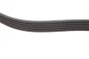 Ремень генератора Skoda Octavia 1.4/1.6 96-10/BMW 5 (E60)/7 (E65/E66/E67)/X5 (E53) 4.4/4.8 01-09 FEBI BILSTEIN 28951 (фото 3)