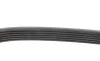 Ремень генератора VW LT 2.5TDI 00- (-AC)/T4 2.4D/2.5TDI 96- FEBI BILSTEIN 28970 (фото 2)