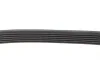 Ремень генератора Audi A4/A6 2.4-2.6 94-04/BMW 3 (E46/E90/E92) 1.6-2.0 97-13/VW Polo 01-10 (6PK1873) FEBI BILSTEIN 28986 (фото 2)