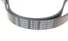 Ремень генератора Audi A4/A6 2.4-2.6 94-04/BMW 3 (E46/E90/E92) 1.6-2.0 97-13/VW Polo 01-10 (6PK1873) FEBI BILSTEIN 28986 (фото 4)