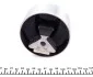Подушка КПП MB Vito (W638) TDI -00 FEBI BILSTEIN 29701 (фото 3)