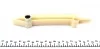 Комплект цепи ГРМ BMW 3 (E46)/5 (E39)/7 (E38) 98-04 (M57) FEBI BILSTEIN 30344 (фото 8)