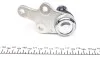 Опора шаровая (передняя/снизу) Ford C-max 07-10/ Focus 04-12 FEBI BILSTEIN 30380 (фото 3)