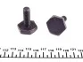 Комплект ланцюга ГРМ Skoda Fabia/Roomster 1.2i 03-14 FEBI BILSTEIN 30607 (фото 6)