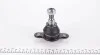 Опора кульова (передня/знизу) VW T5/T6 03- (к-кт) FEBI BILSTEIN 30858 (фото 4)