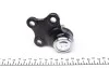 Опора шаровая (передняя/снизу) Citroen Berlingo/Peugeot Partner 96- (d=16mm) FEBI BILSTEIN 31812 (фото 3)