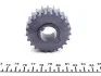 Шестерня колінвалу Opel Combo/Astra F/G/Vectra B 1.6-1.8 94- (z=23) FEBI BILSTEIN 33695 (фото 2)