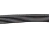 Ремень генератора VW T5 1.9TDI/VW Caddy III 1.9/2.0TDI (+AC) FEBI BILSTEIN 34459 (фото 2)