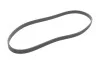Ремень генератора VW T5 1.9TDI/VW Caddy III 1.9/2.0TDI (+AC) FEBI BILSTEIN 34459 (фото 3)