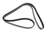 Ремень генератора VW LT 2.8TDI 97-06/Ford Transit 2.2TDCi 11-14/Citroen Jumper 2.2HDi 11- FEBI BILSTEIN 39793 (фото 1)