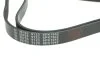 Ремень генератора VW LT 2.8TDI 97-06/Ford Transit 2.2TDCi 11-14/Citroen Jumper 2.2HDi 11- FEBI BILSTEIN 39793 (фото 2)