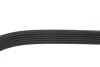 Ремень генератора VW LT 2.8TDI 97-06/Ford Transit 2.2TDCi 11-14/Citroen Jumper 2.2HDi 11- FEBI BILSTEIN 39793 (фото 3)