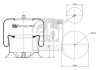 Пневмоподушка FEBI BILSTEIN 39854 (фото 1)