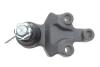 Опора шаровая (передняя/снизу) Kia Sorento I 02-11 FEBI BILSTEIN 41689 (фото 4)