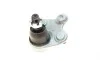 Опора шаровая (передняя/снизу/L) Honda CR-V 2.0/2.4/2.2D 06-12 FEBI BILSTEIN 42134 (фото 2)