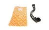 Патрубок радиатора (нижний) (R) BMW X5 (E53) 3.0i 00-06 FEBI BILSTEIN 45815 (фото 1)