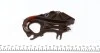 Комплект ланцюга ГРМ BMW 3 (E46/E90/E91)/5 (E60/E61) 1.6/1.8/2.0 98-13 (N43/N46) FEBI BILSTEIN 47978 (фото 6)