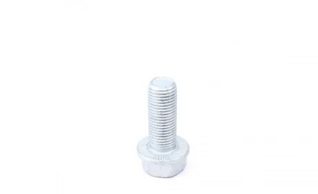 Болт кріплення скоби супорта VW Passat/Golf/Caddy 97- (M14x1,5) FEBI BILSTEIN 48810
