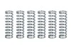 Пружины сцепления FERODO FSS0203 (фото 1)
