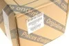 Колектор впускний Fiat Doblo 1.6 D 09- Fiat/Alfa/Lancia 55259084 (фото 2)
