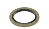 Болт слива масла + шайба Fiat Doblo 10-/Ducato 06-/ Opel Astra 04-15 (M18x1.5) Fischer Automotive One (FA1) 866.371.011 (фото 2)