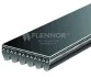 Пасок поликлиновый Flennor 6PK1113 (фото 1)