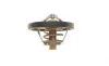Термостат Ford Fusion/Fiesta/Focus 1.2-1.6 95- (82˚C) FORD 1712228 (фото 3)