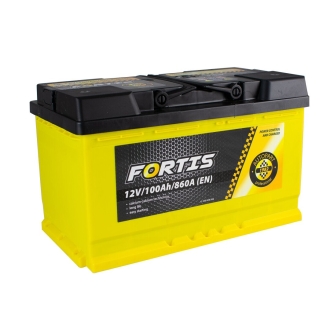 Аккумулятор 100 Ah/12V (короткий) Fortis FRT100-L4-00