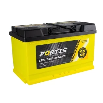 Аккумулятор 100 Ah/12V FORTIS (короткий) Fortis FRT100-L4-00