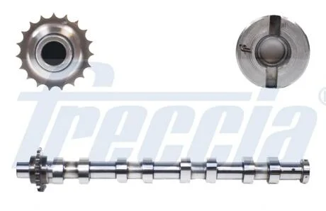 Распредвал Citroen C2 1.6HDi 04- FRECCIA CM05-2145