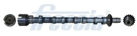 Распределительный вал FRECCIA CM052374