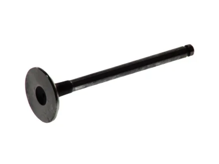 Впускний клапан FRECCIA R4464/SCR