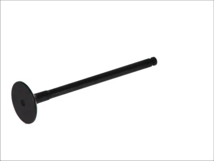Впускний клапан FRECCIA R4918SNT