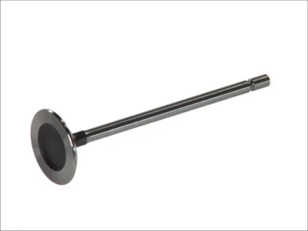 Впускний клапан FRECCIA R6029/S