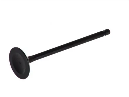 Впускний клапан FRECCIA R6104/SNT