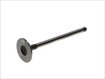 Впускний клапан FRECCIA R6110/S