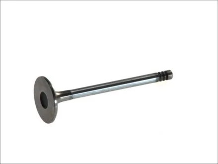 Впускний клапан FRECCIA R6143/SCR