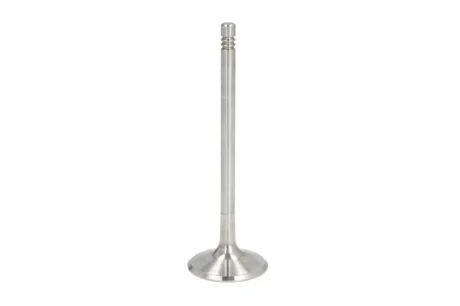 Впускной клапан FRECCIA R6206/S