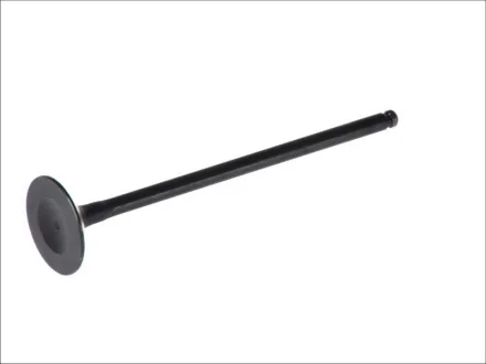 Впускний клапан FRECCIA R6232/SNT